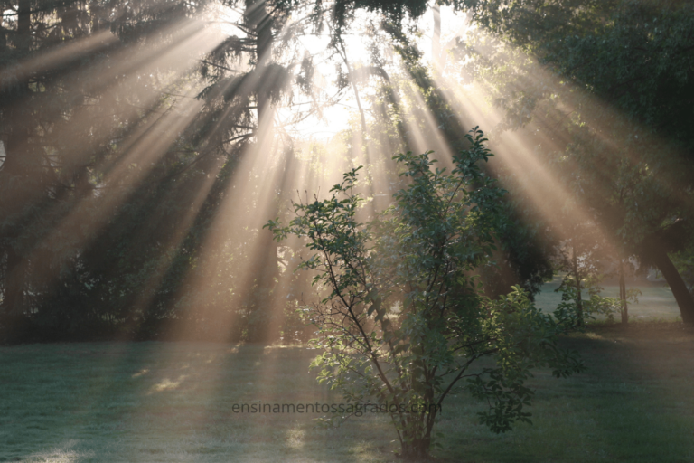 Filipenses 2:14 – Cultivando a Paz