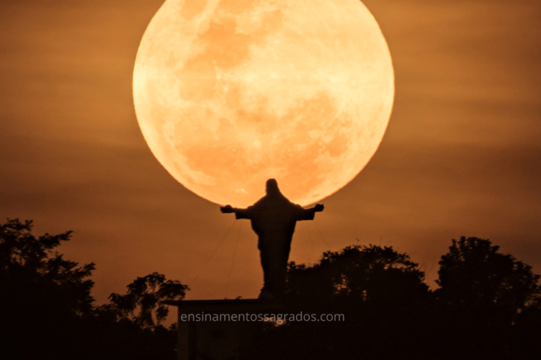 Romanos 12:15 – Empatia em Ação