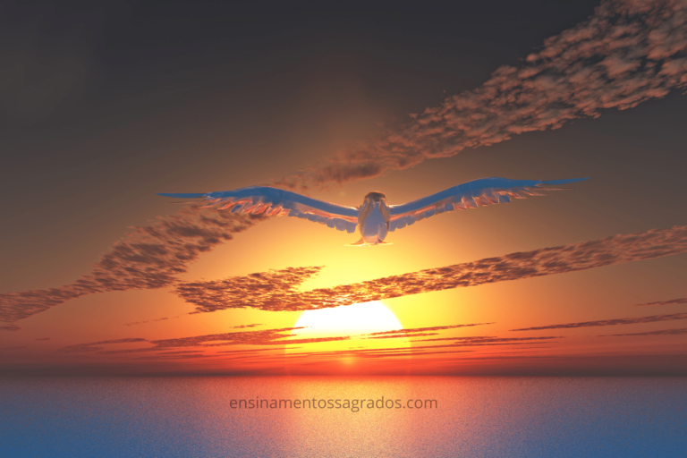 Provérbios 16:9 – O Senhor Dirige os Passos