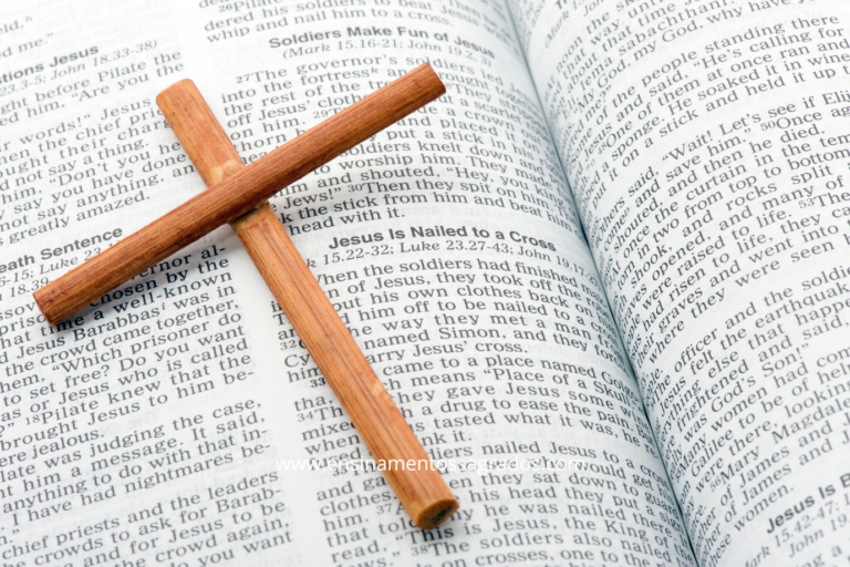 Salmos 28:7 – O Senhor é Minha Força e Meu Escudo