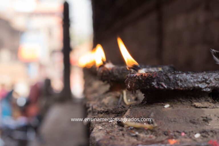 1 Reis 19:21 – O Chamado de Eliseu