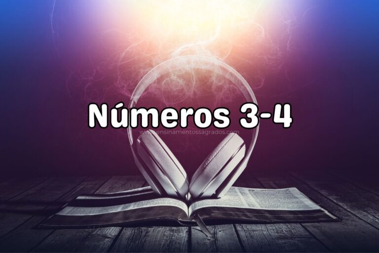 Bíblia Narrada | Números 3-4