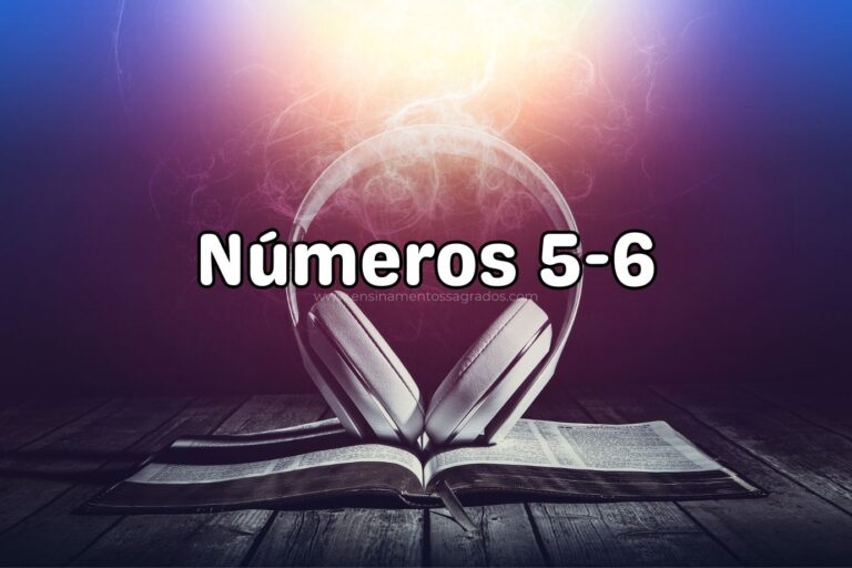 Bíblia Narrada | Números 5-6