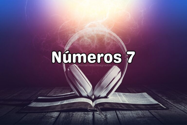 Bíblia Narrada | Números 7