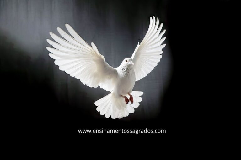 1 Samuel 17:47 – A Vitória Que Vem da Fé