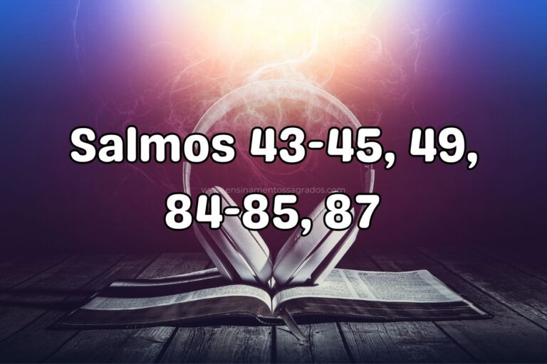 Bíblia Narrada | Salmos 43-45, 49, 84-85, 87